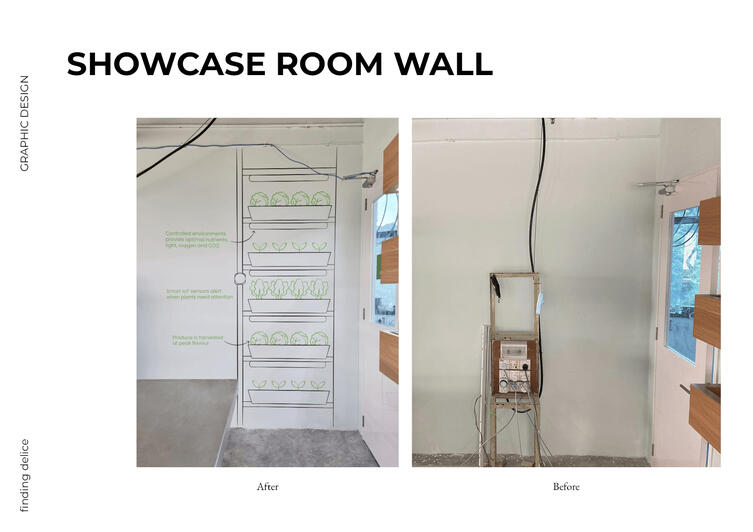 Showcase Wall