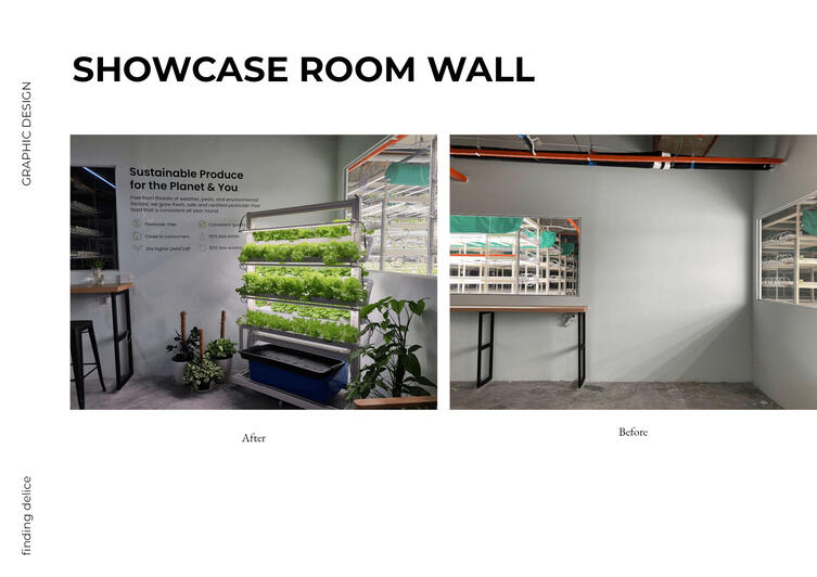 Showcase Wall